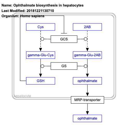 Ophthalmate biosynthesis in hepatocytes