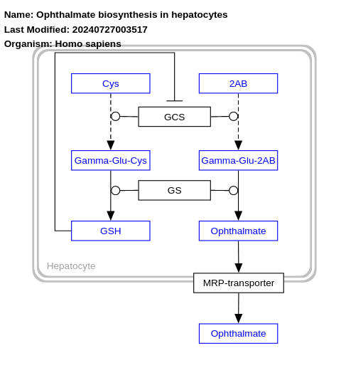 Ophthalmate biosynthesis in hepatocytes