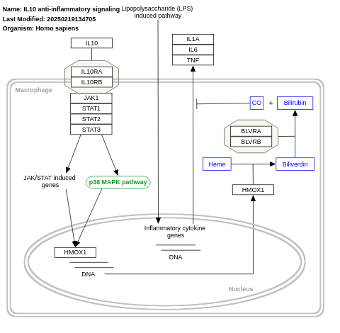 IL-10 anti-inflammatory signaling pathway 