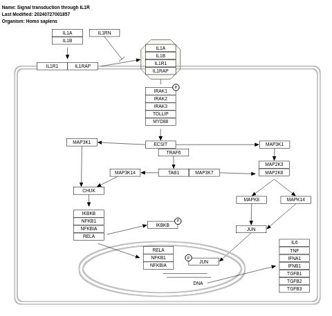 Signal transduction through IL1R