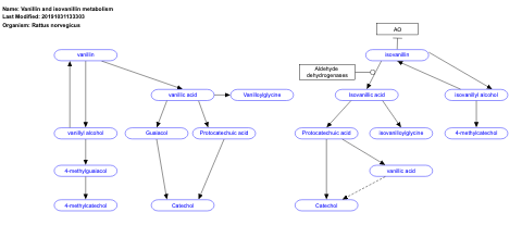 Vanillin and isovanillin metabolism