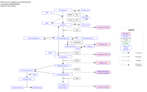 Tyrosine metabolism and related disorders