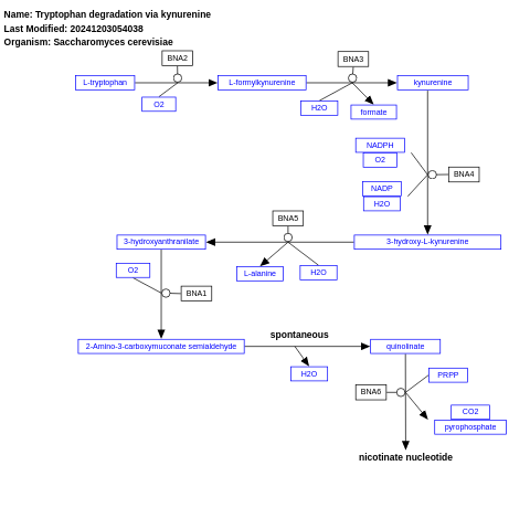 Tryptophan degradation via kynurenine