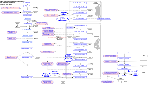 Glycosylation and related congenital defects