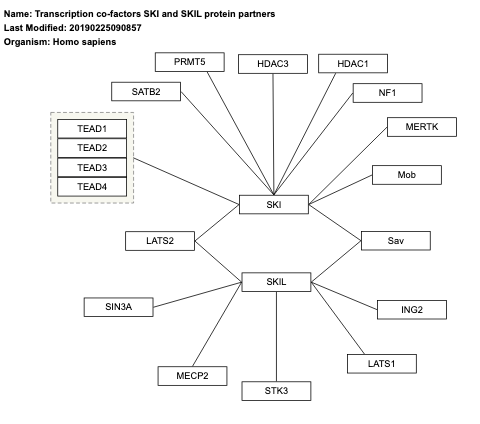 Transcription co-factors SKI and SKIL protein partners