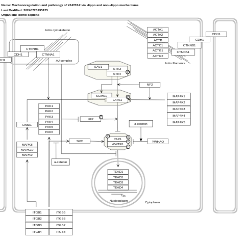 Mechanoregulation and pathology of YAP/TAZ via Hippo and non-Hippo mechanisms