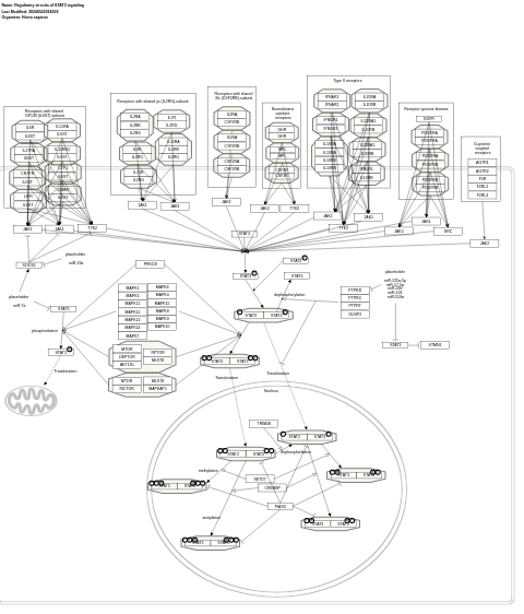 Regulatory circuits of the STAT3 signaling pathway