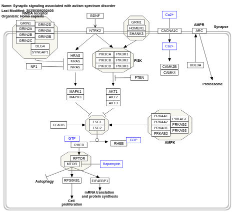 Synaptic signaling pathways associated with autism spectrum disorder