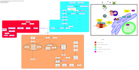 Neurodegeneration with brain iron accumulation (NBIA) subtypes pathway