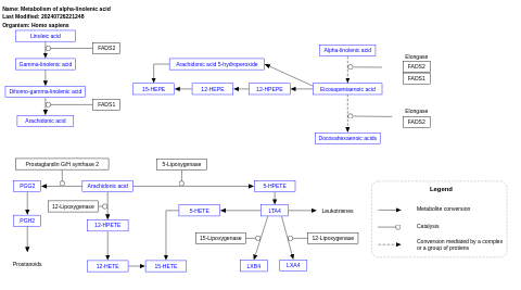 Metabolism of alpha-linolenic acid