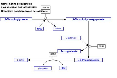 Serine biosynthesis