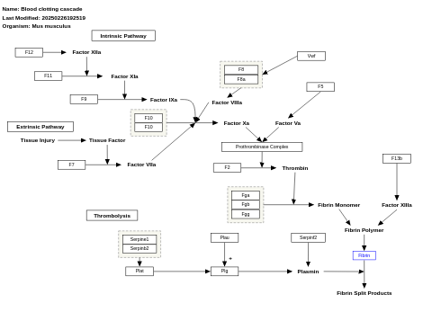 Blood clotting cascade