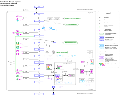 Aerobic glycolysis - augmented