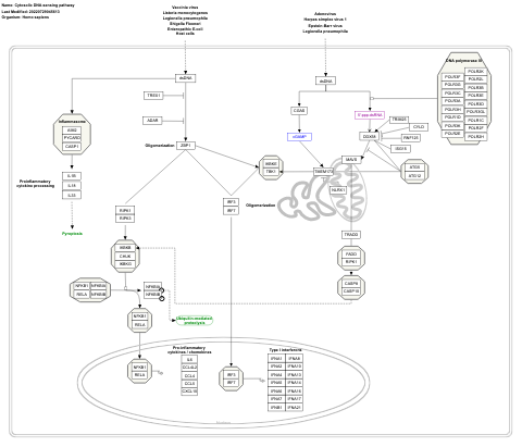 Cytosolic DNA-sensing pathway