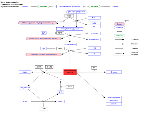 Serine metabolism