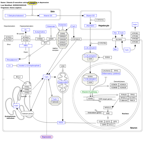 Vitamin D-sensitive calcium signaling in depression