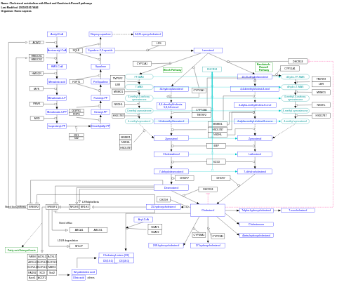 Cholesterol metabolism with Bloch and Kandutsch-Russell pathways