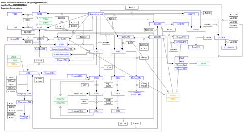 Eicosanoid metabolism via lipooxygenases (LOX)