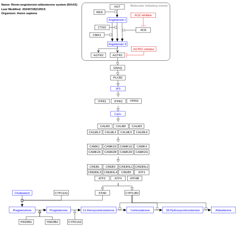 Renin-angiotensin-aldosterone system (RAAS)