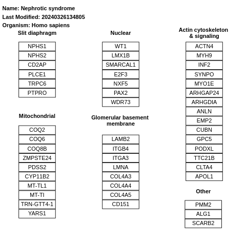 Nephrotic syndrome