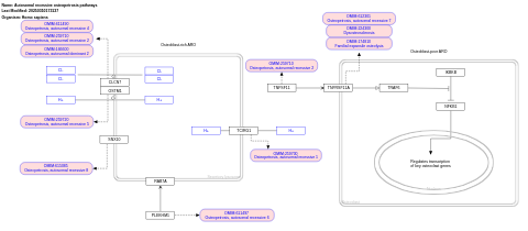 Autosomal recessive osteopetrosis pathways