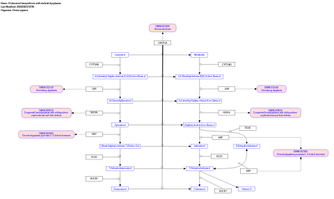 Cholesterol biosynthesis with skeletal dysplasias