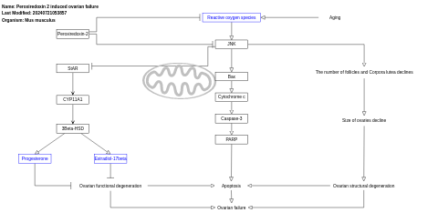 Peroxiredoxin 2 induced ovarian failure