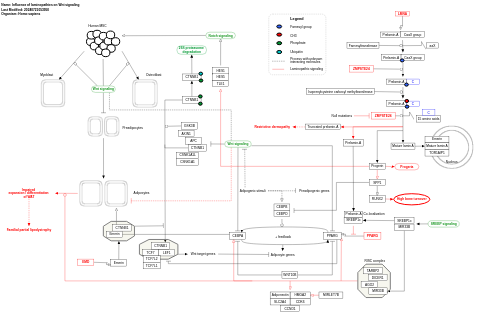 Influence of laminopathies on Wnt signaling