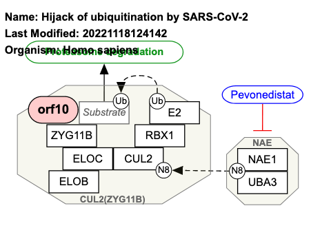 Hijack of ubiquitination by SARS-CoV-2