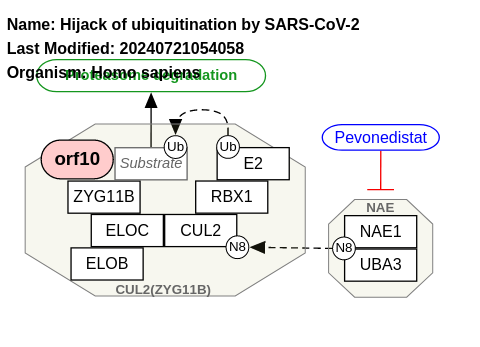 Hijack of ubiquitination by SARS-CoV-2