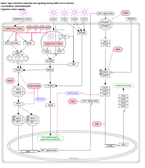 Type I interferon induction and signaling during SARS-CoV-2 infection