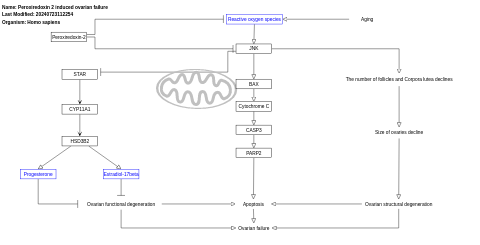 Peroxiredoxin 2 induced ovarian failure