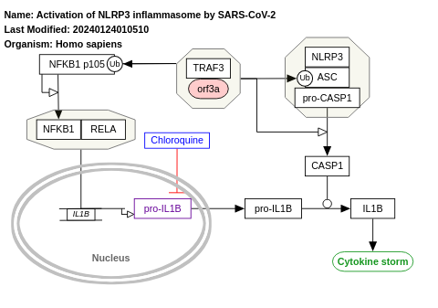 Activation of NLRP3 inflammasome by SARS-CoV-2
