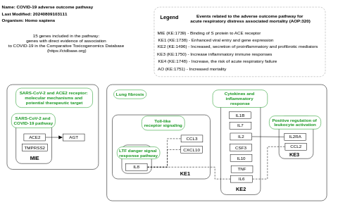 COVID-19 adverse outcome pathway