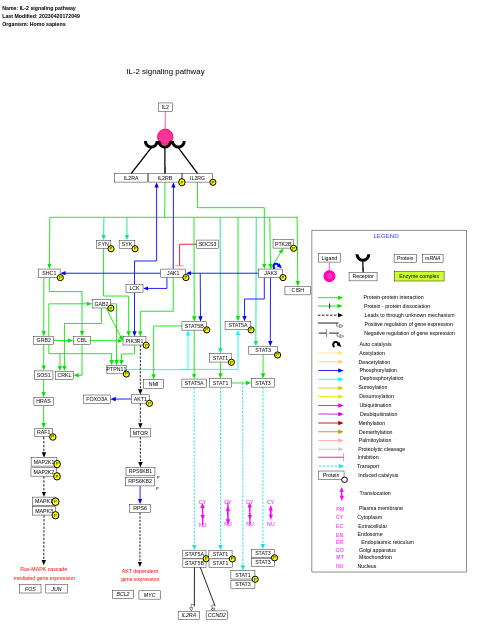 IL-2 signaling pathway