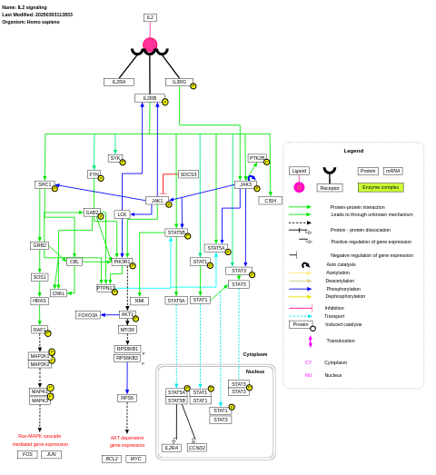 IL-2 signaling pathway