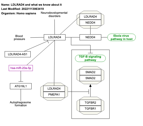 LDLRAD4 and what we know about it