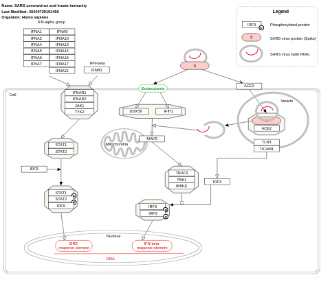 SARS coronavirus and innate immunity