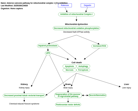 Adverse outcome pathway for mitochondrial complex 1 (C1) inhibition