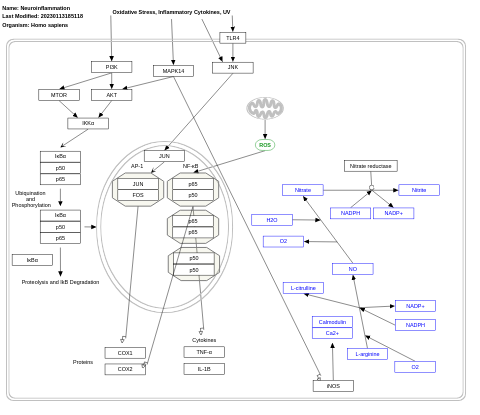 Neuroinflammation