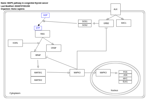 MAPK pathway in congenital thyroid cancer