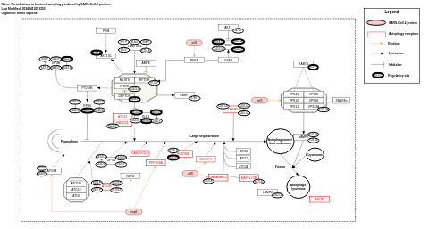 Perturbations to host-cell autophagy, induced by SARS-CoV-2 proteins