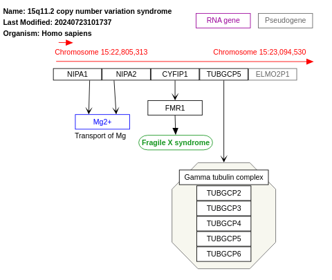 15q11.2 copy number variation syndrome