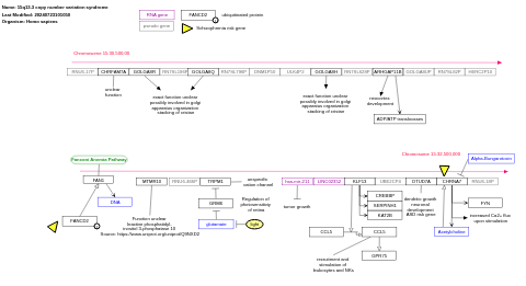 15q13.3 copy number variation syndrome