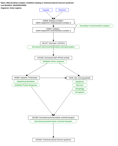 Mitochondrial complex I inhibition leading to chemical-induced Fanconi syndrome