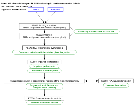 Mitochondrial complex I inhibition leading to parkinsonian motor deficits