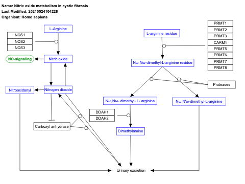 Nitric oxide metabolism in cystic fibrosis