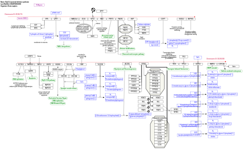 16p11.2 proximal deletion syndrome