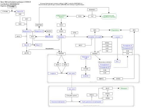 RAS and bradykinin pathways in COVID-19