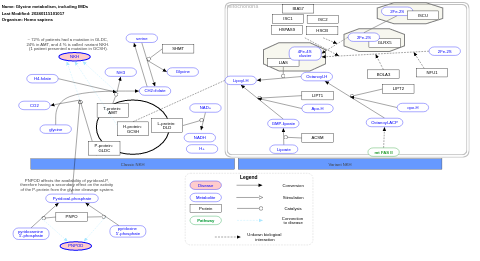 Glycine metabolism, including IMDs